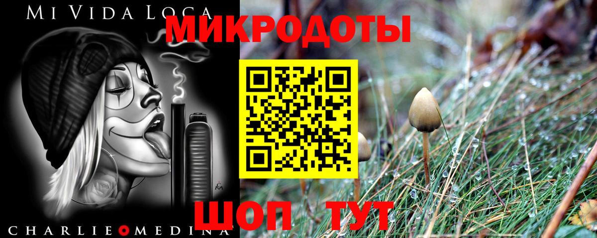 Галлюциногенные грибы прущие грибы Камышлов